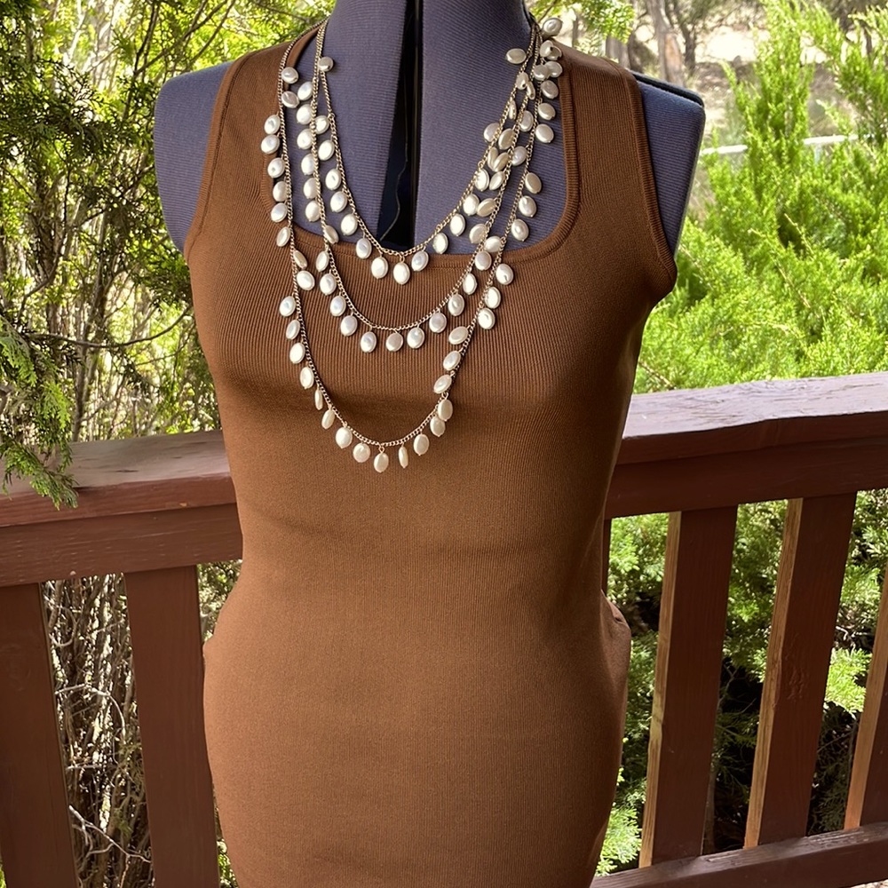 Emory Park Womens Dress Size Large Form Fitting Brown Excellent Condition